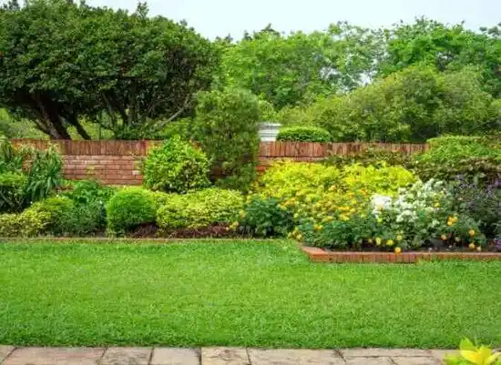 landscaping services North Carrollton